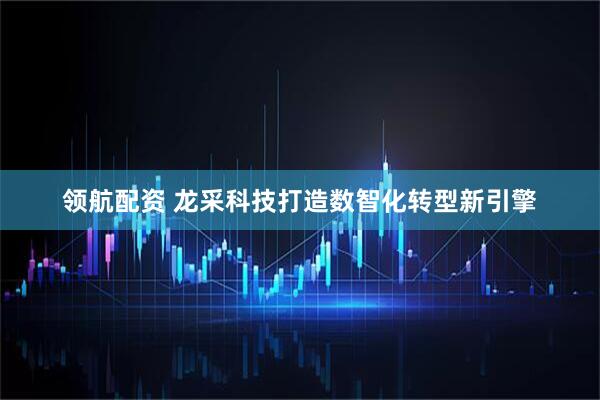 领航配资 龙采科技打造数智化转型新引擎