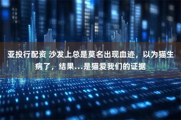 亚投行配资 沙发上总是莫名出现血迹，以为猫生病了，结果…是猫爱我们的证据